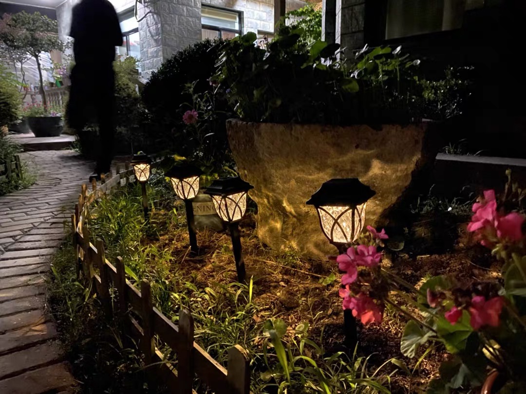 Jardín iluminado